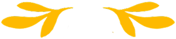Rectangle 9